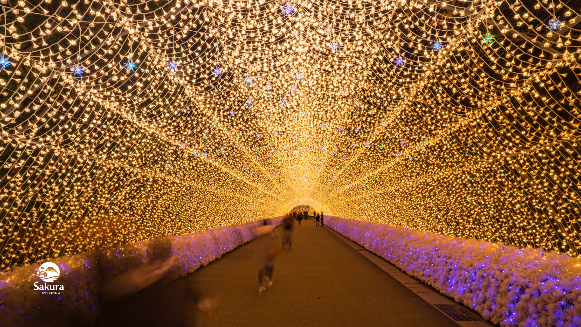Favorite Japan Autumn Festival + Shikizakura & Momiji Corridor Kawaguchiko
